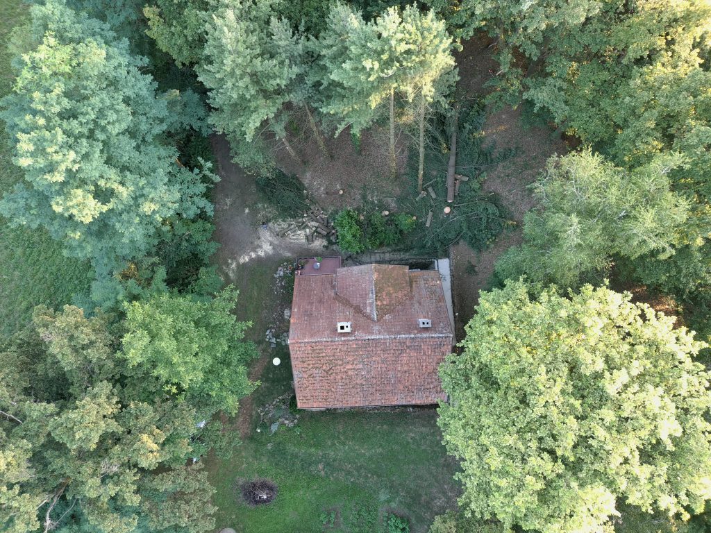 kuca i rusenje stabla iz pticije perspektive